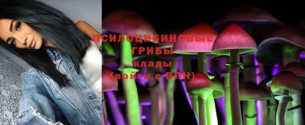 спиды Армянск