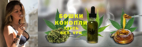 PSILOCYBIN Арсеньев