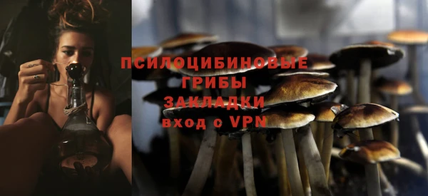 спиды Армянск