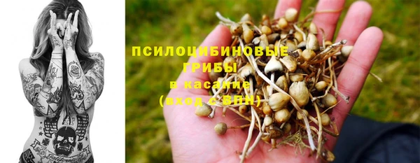 спиды Армянск
